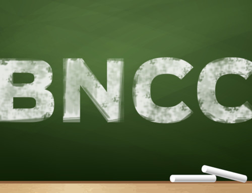 Quais os impactos da BNCC sobre o ensino?